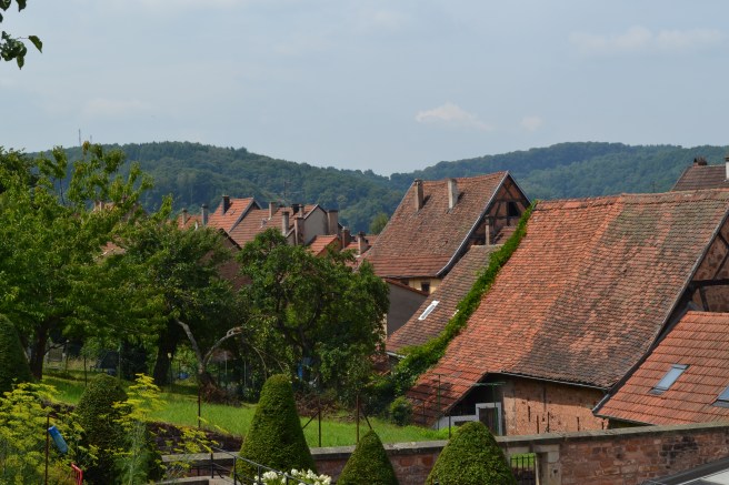 Rooftops of Bitche, France
