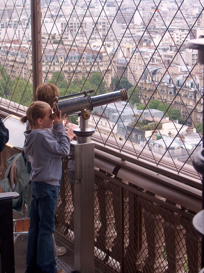 Rooftops of Paris from the Eiffel Tower, 2008