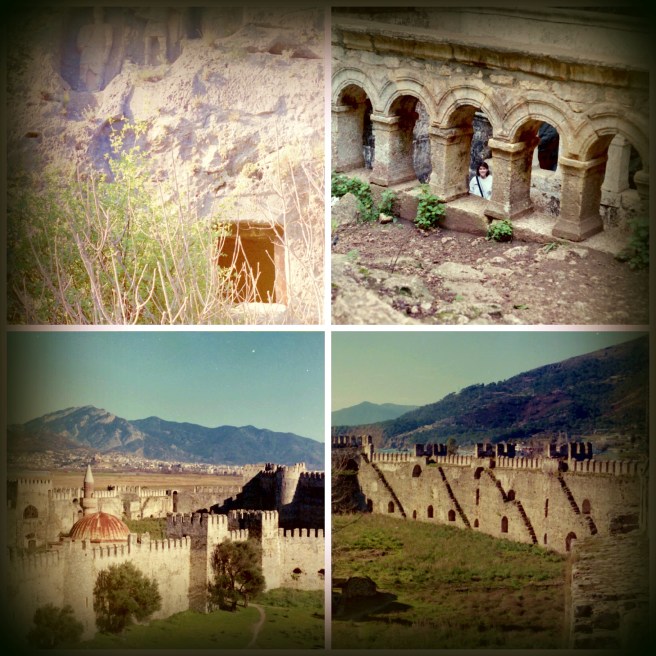 turkey 2 picmonk collage