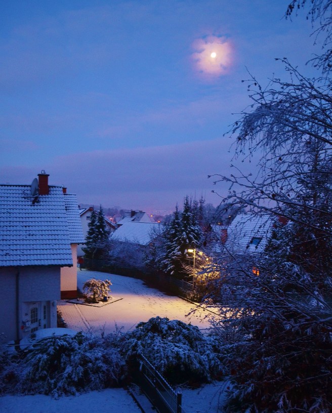That roof belongs to naughtly neighbors. (They threw a liquor bottle in our bushes, I'm just saying. . .)