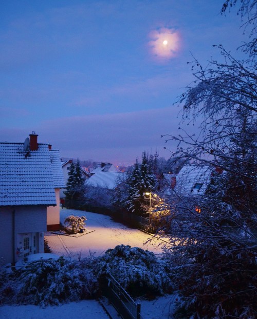 That roof belongs to naughtly neighbors. (They threw a liquor bottle in our bushes, I'm just saying. . .)