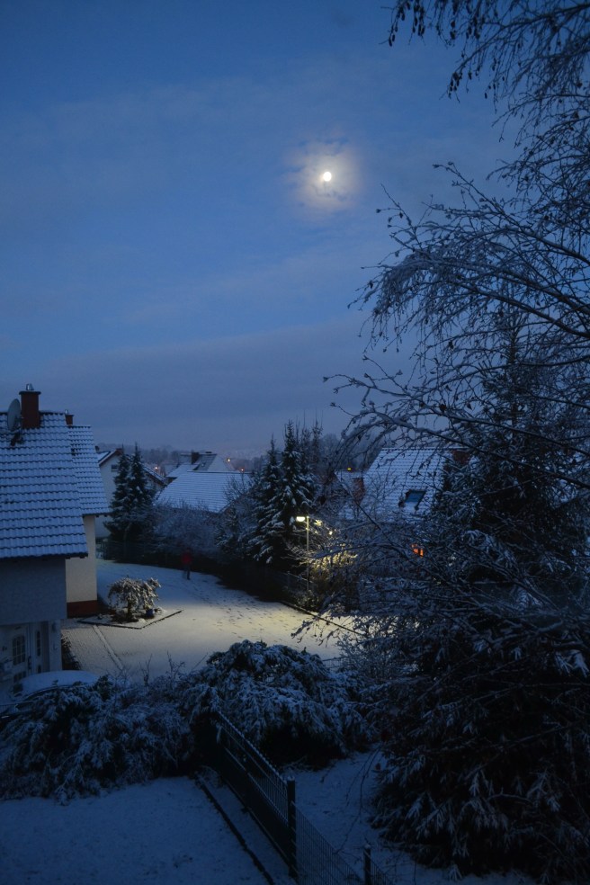 Lucky me--the dark and cold outside my window this morning was more picturesque than menacing.