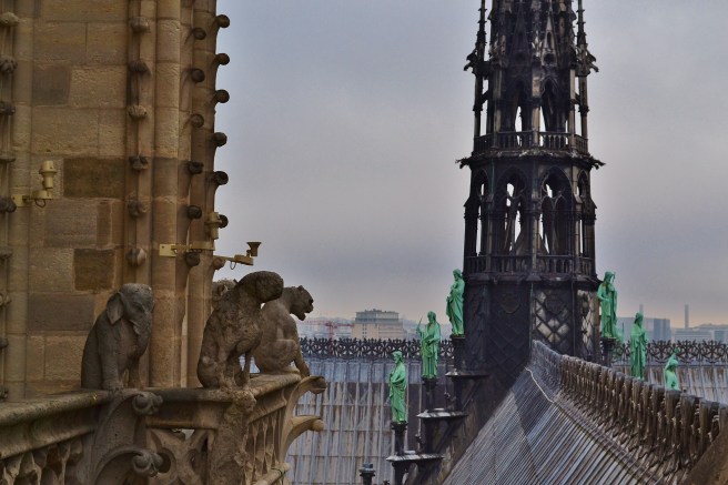A perch in the bell towers of Notre Dame Cathedral, Paris